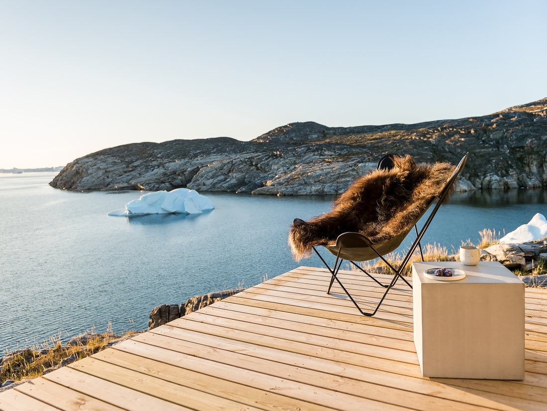 A Short History of the Butterfly Chair