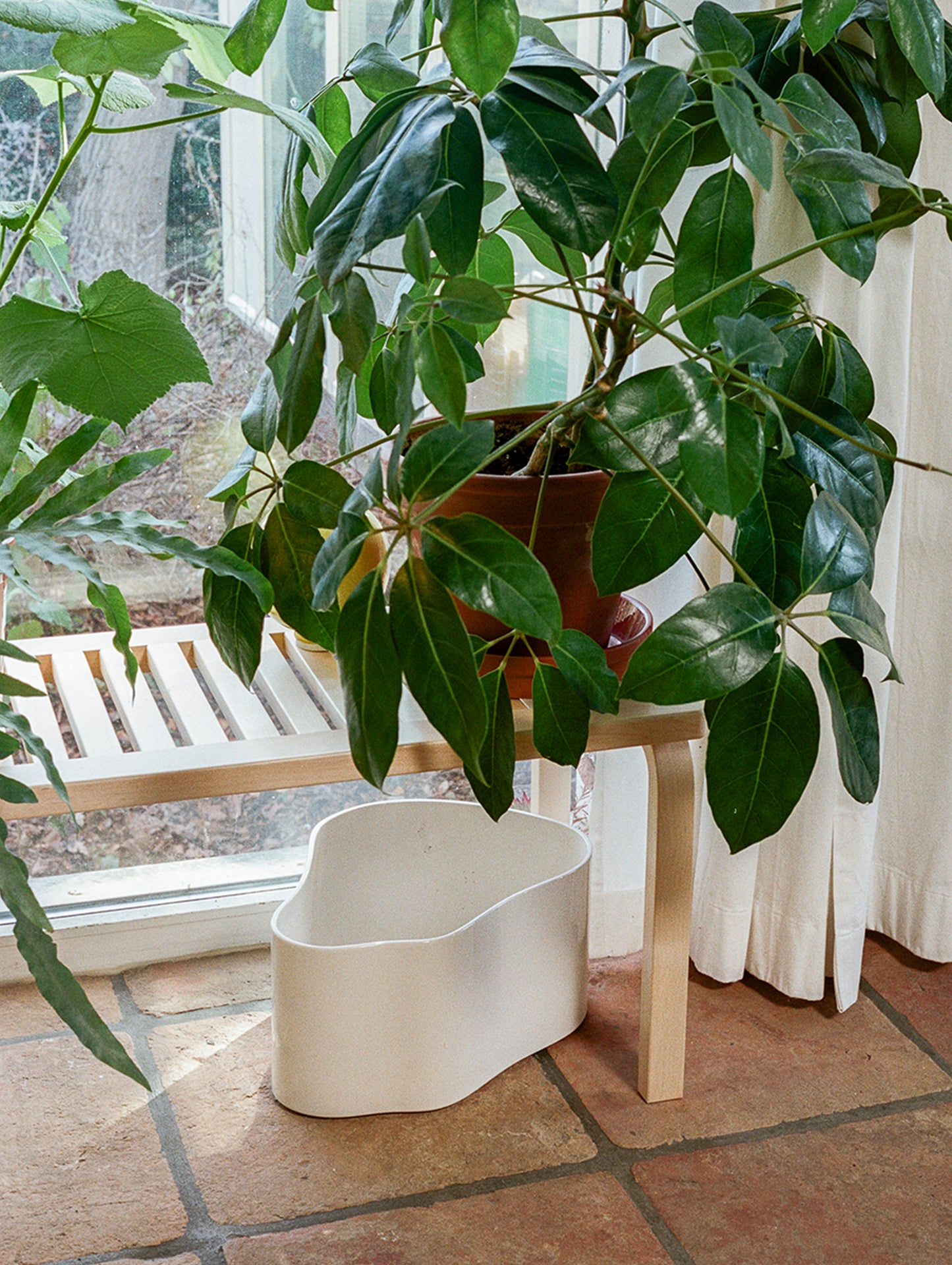 Bench 153 by Artek