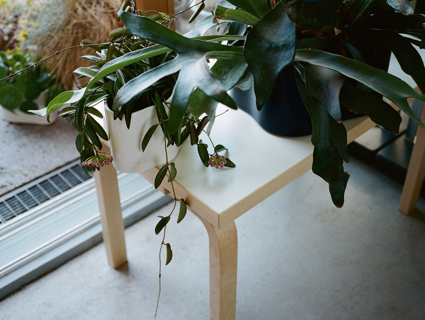 Bench 153 by Artek