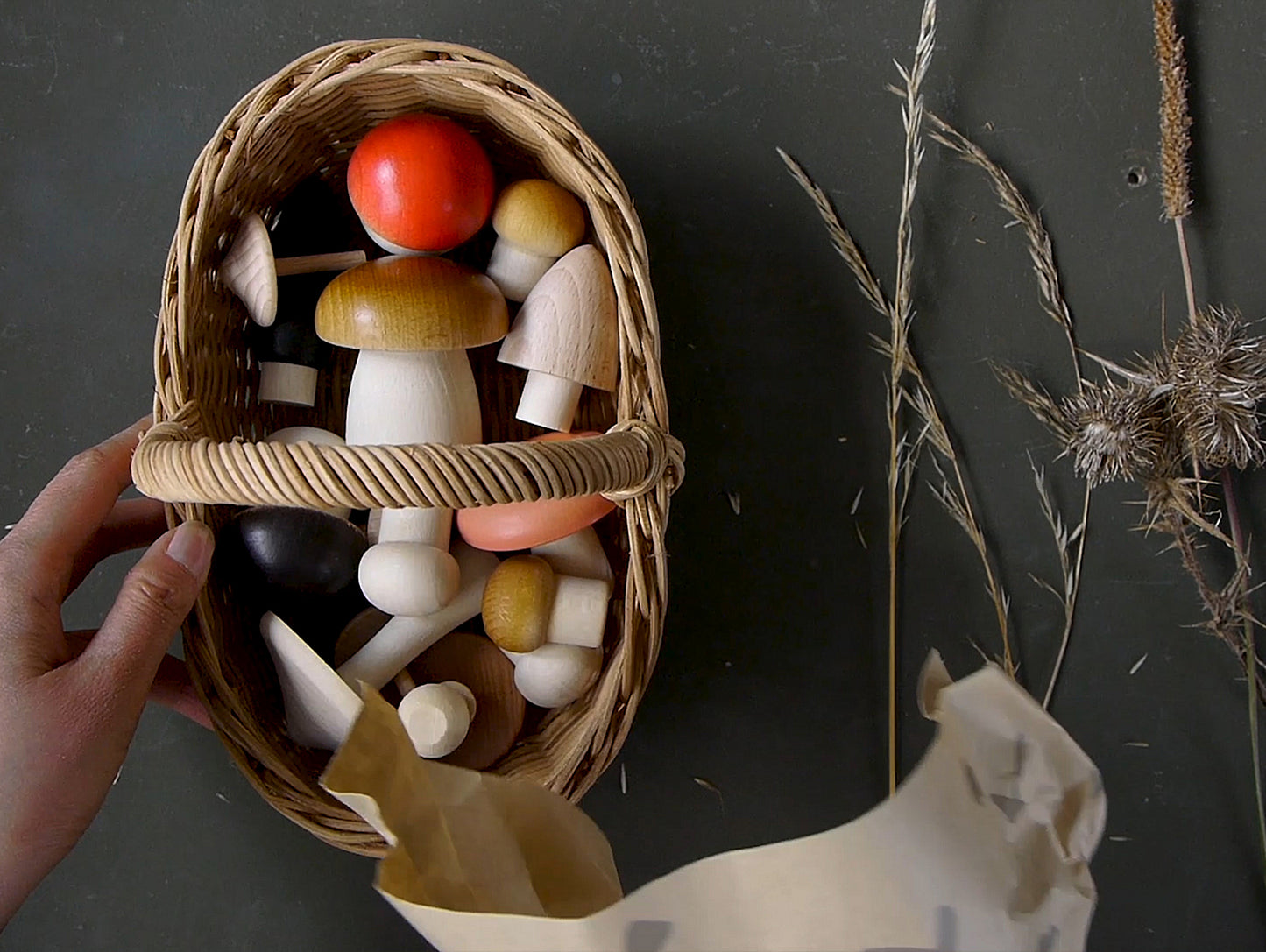 Forest Mushrooms Basket by Moon Picnic