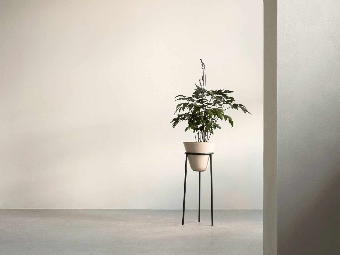 Daiza Planter by Audo Copenhagen - H65 / D25