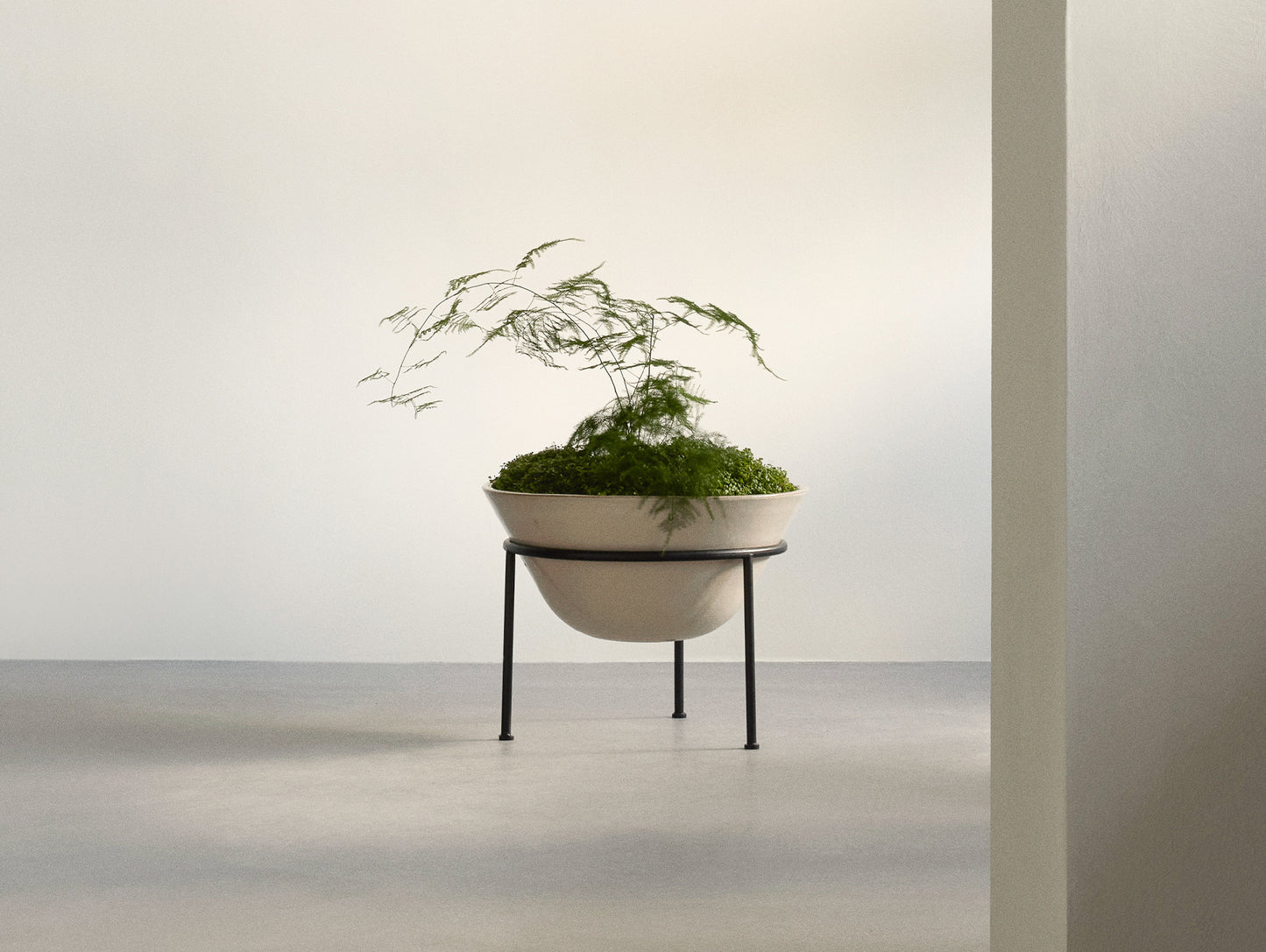 Daiza Planter by Audo Copenhagen - H35 / D48