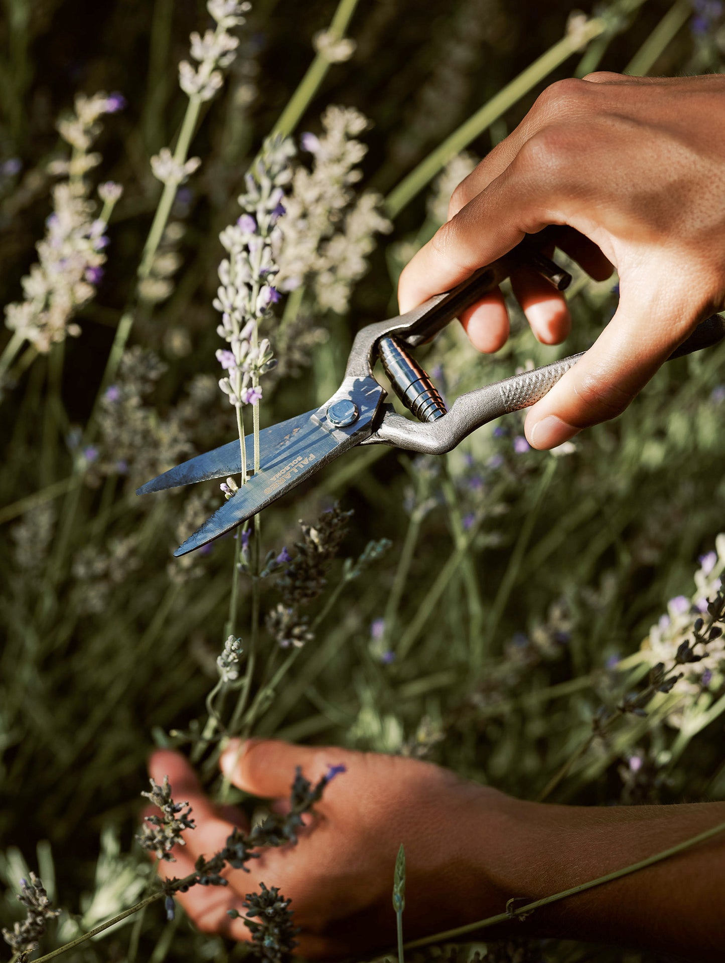 Pallarès × Audo Plant Shears by Audo Copenhagen