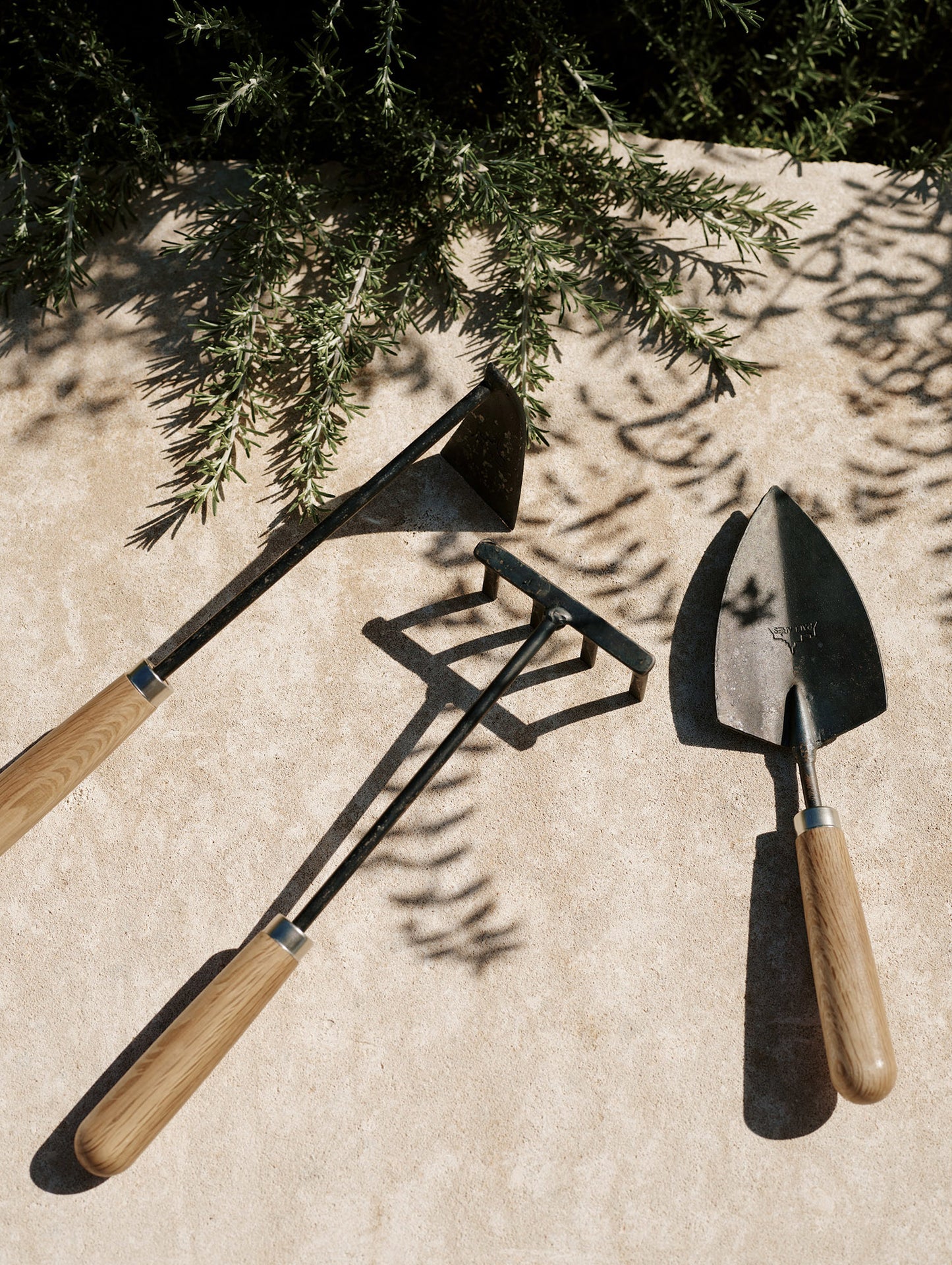 Pallarès × Audo plant tools - Set of 3 by Audo Copenhagen