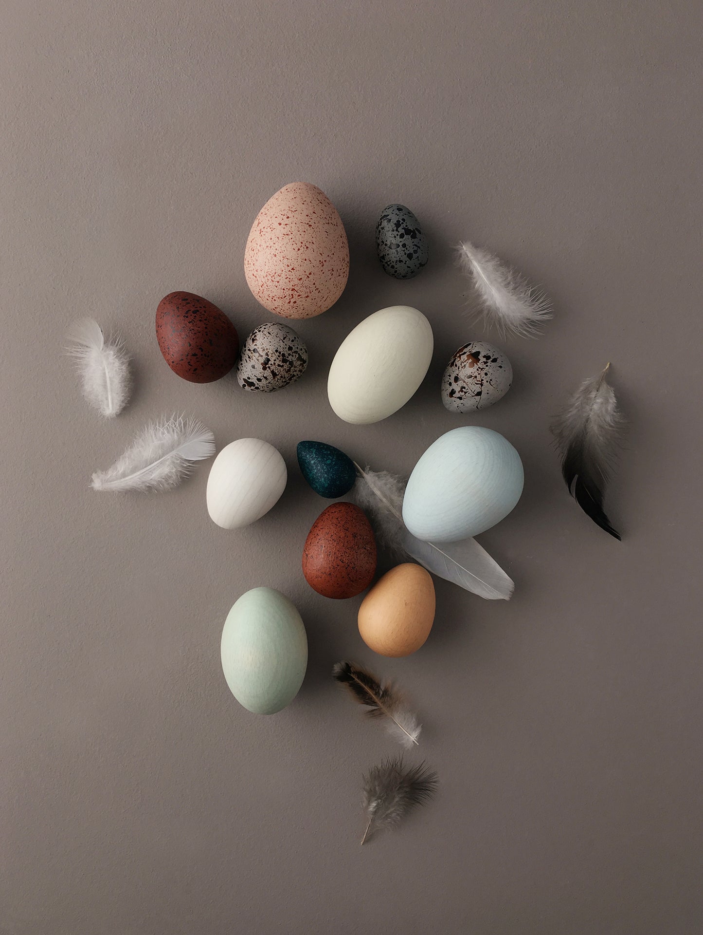 A Dozen Bird Eggs in a box by Moon Picnic