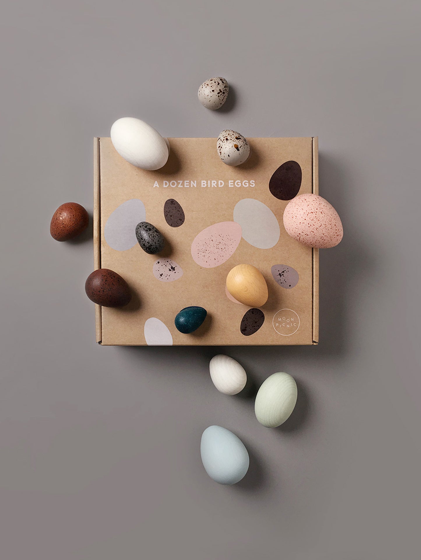 A Dozen Bird Eggs in a box by Moon Picnic