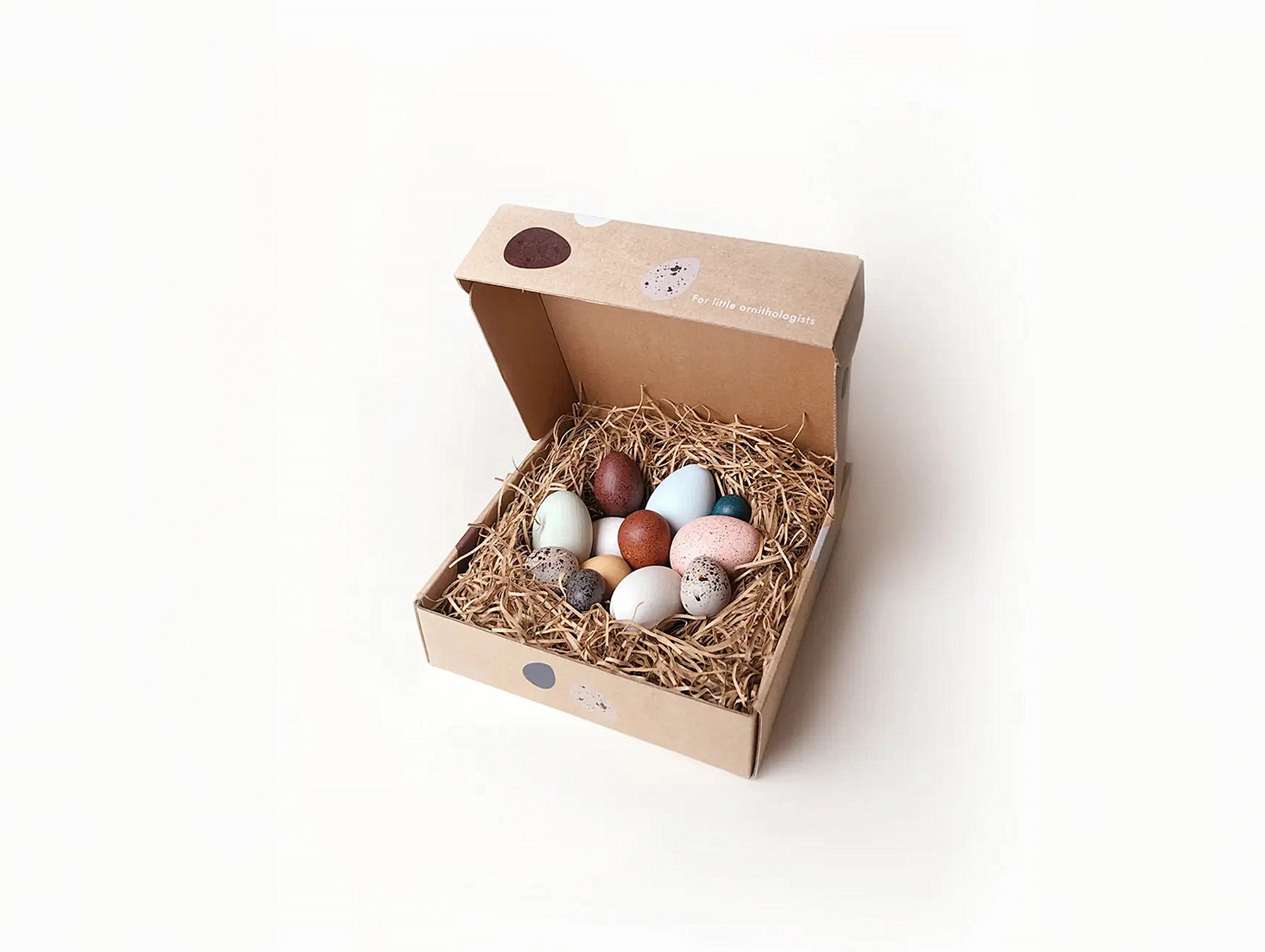 A Dozen Bird Eggs in a box by Moon Picnic