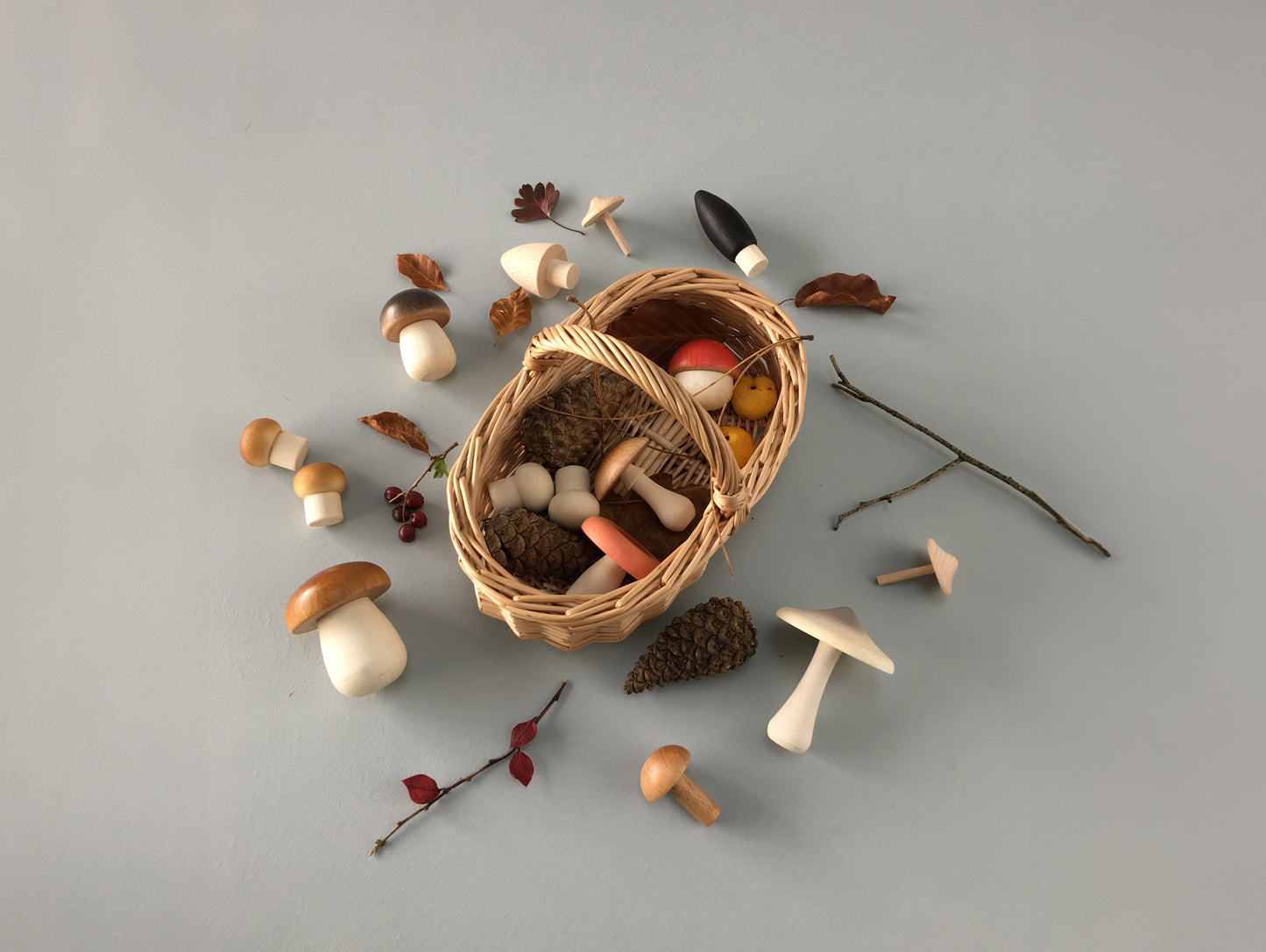 Forest Mushrooms Basket by Moon Picnic