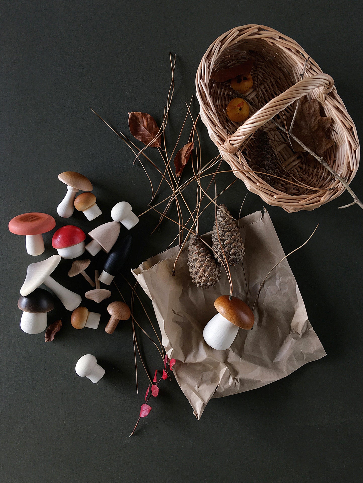 Forest Mushrooms Basket by Moon Picnic