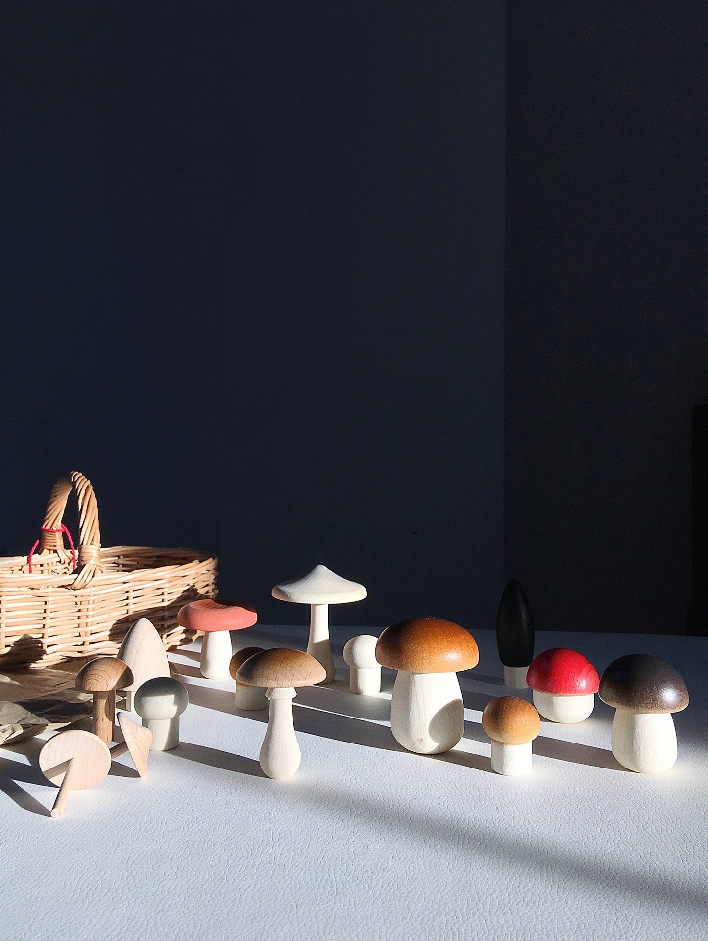 Forest Mushrooms Basket by Moon Picnic