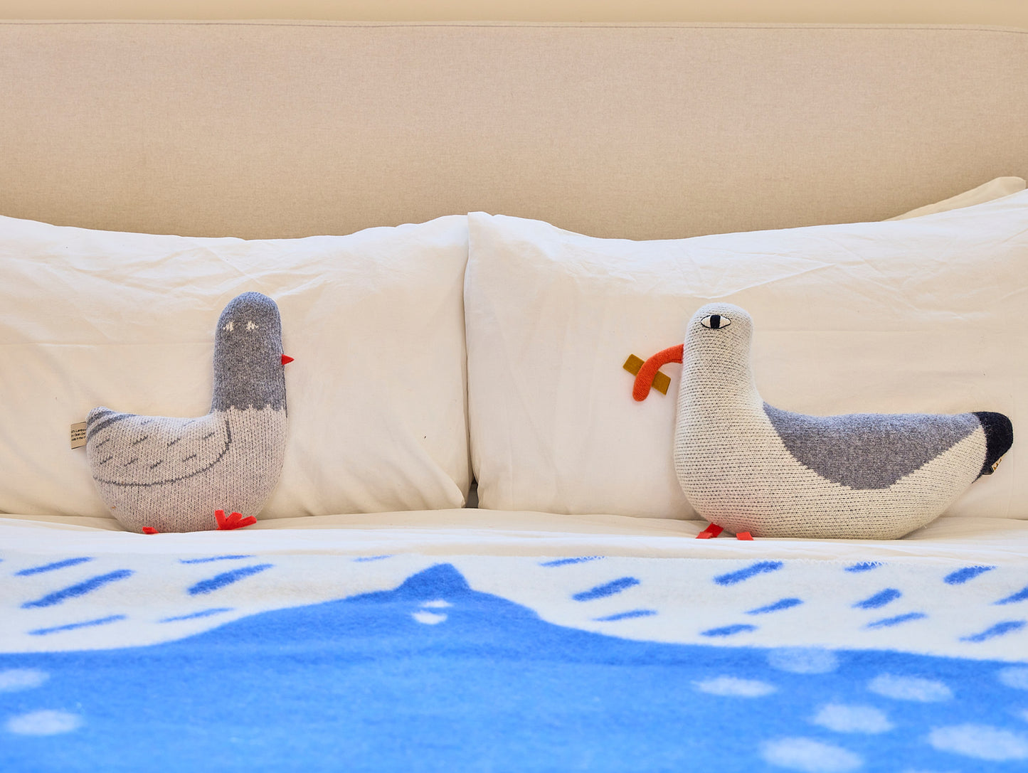 Paddy Pigeon