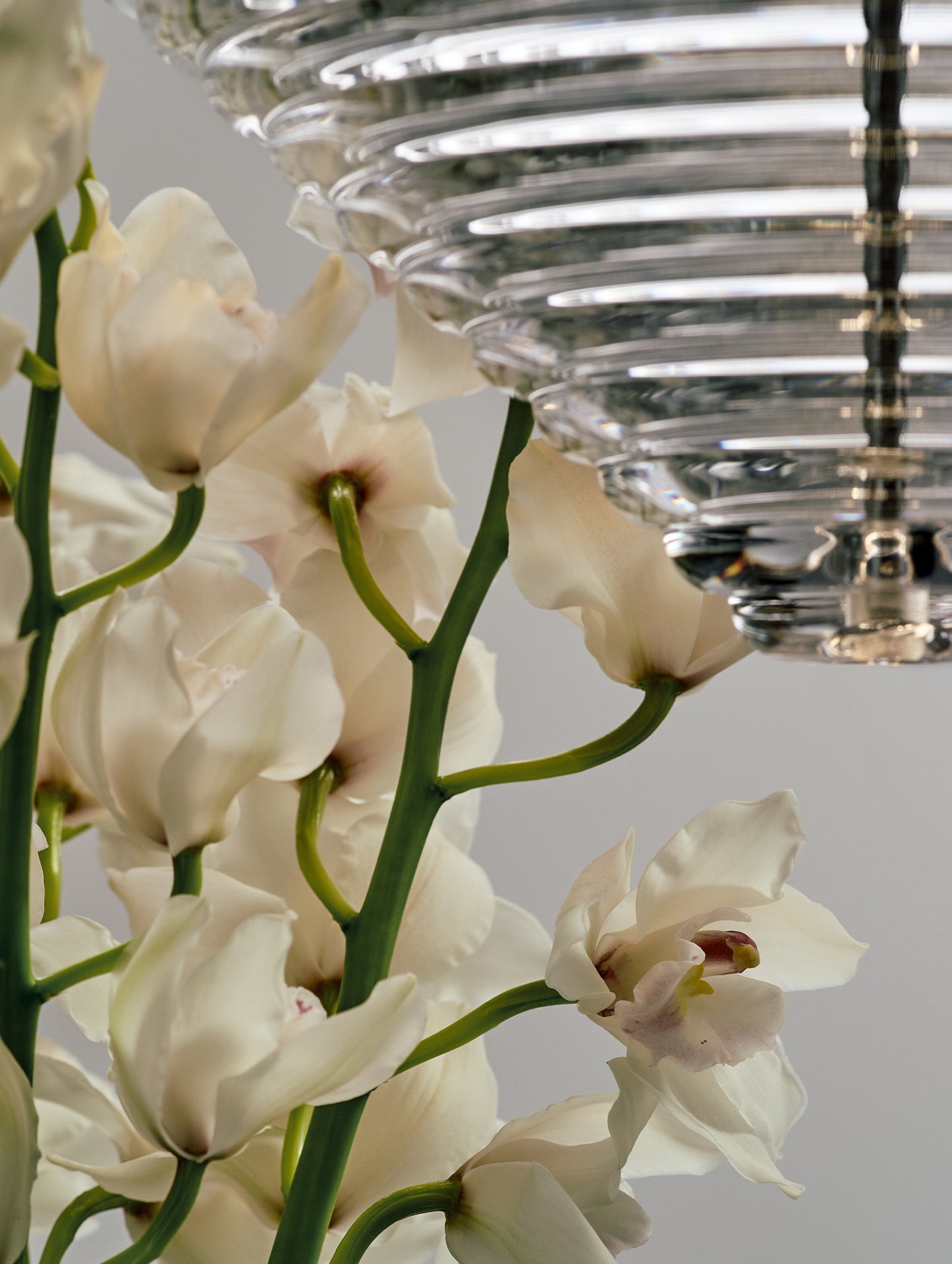 Press Cone LED Pendant Light by Tom Dixon