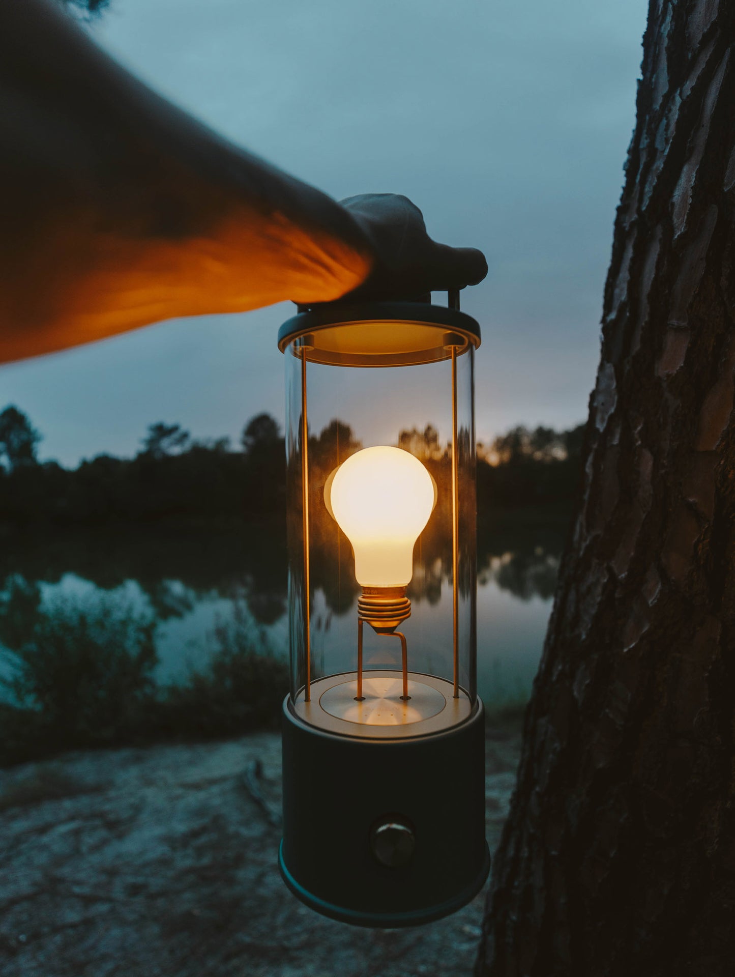 The Muse Portable Lamp in Pleasure Garden Green by Tala