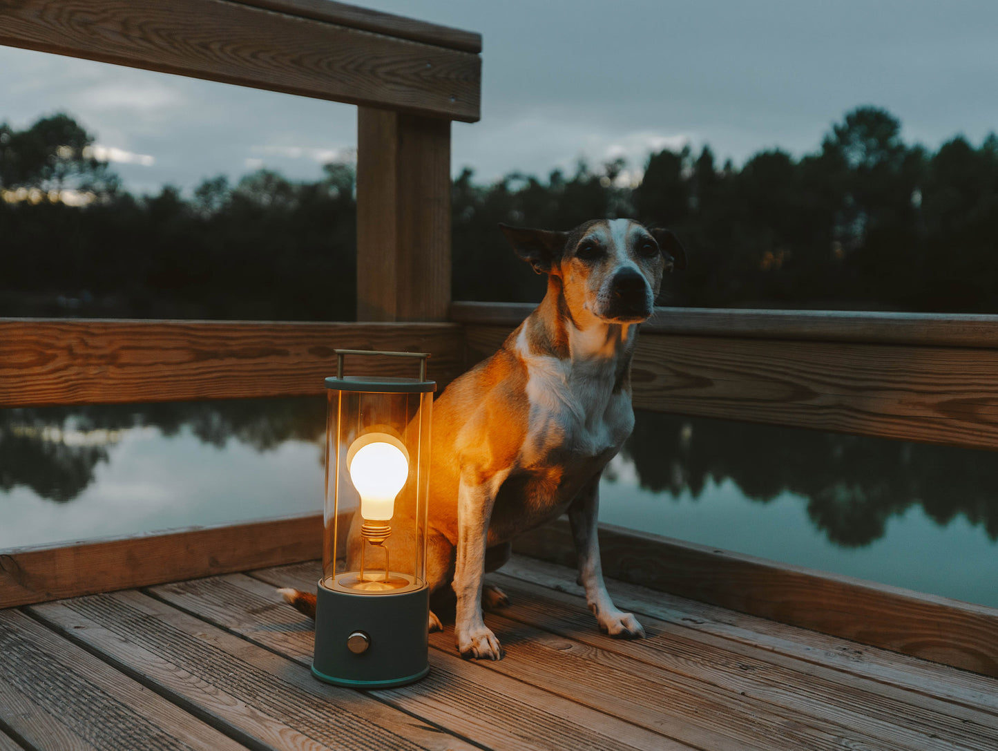 The Muse Portable Lamp in Pleasure Garden Green by Tala
