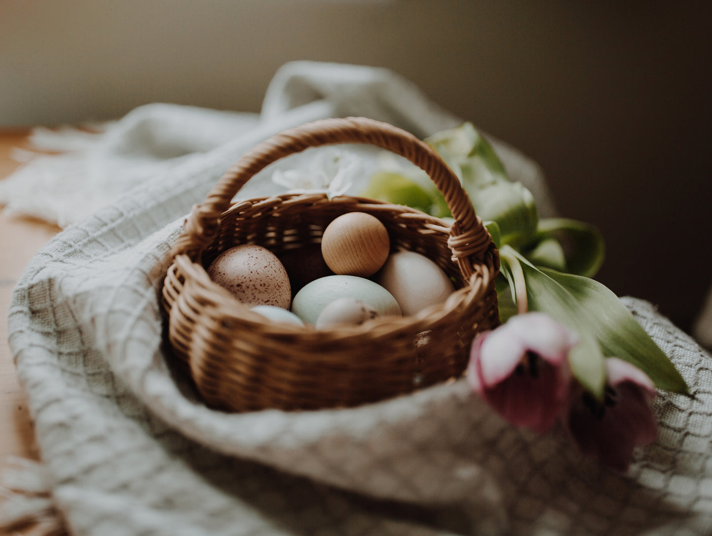 A Dozen Bird Eggs in a box by Moon Picnic