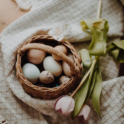 A Dozen Bird Eggs in a box by Moon Picnic