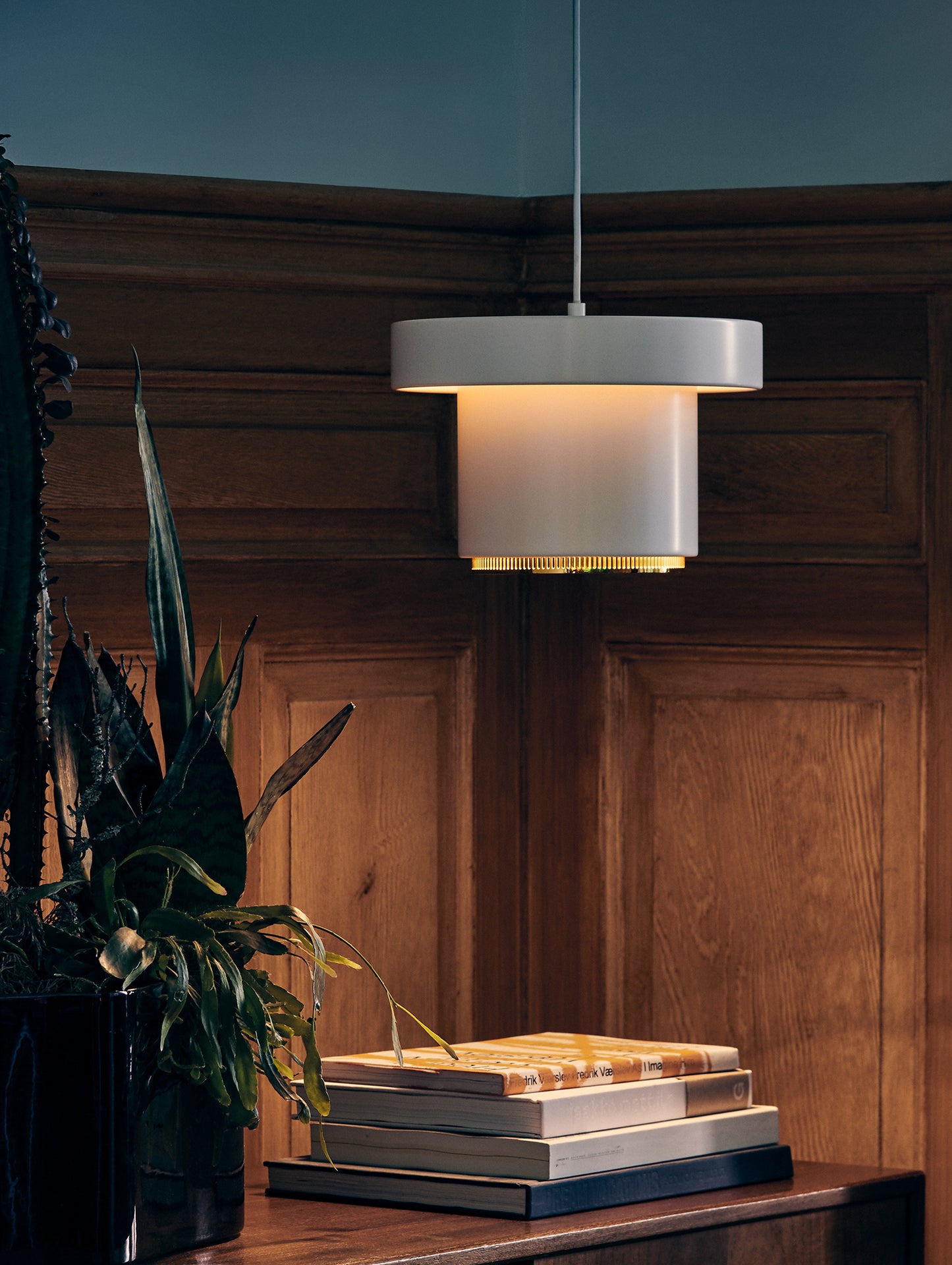 A201 Pendant Light by Artek