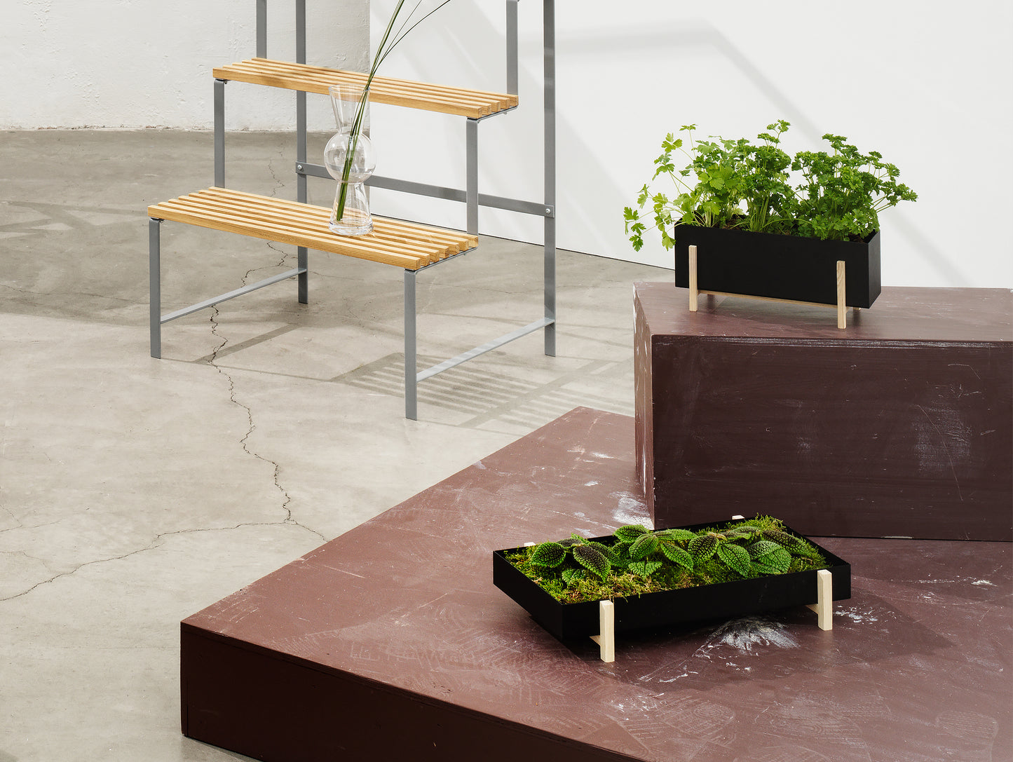 Botanic Box by Design House Stockholm