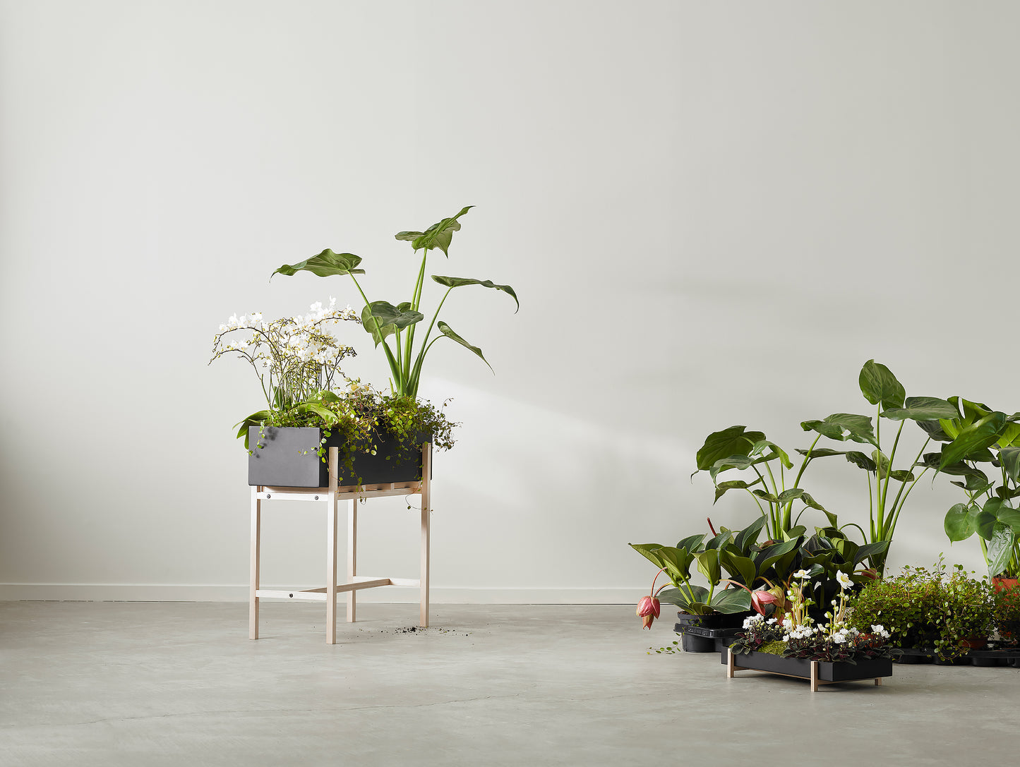 Botanic Stand by Design House Stockholm