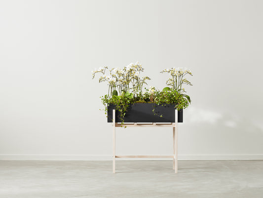 Botanic Stand by Design House Stockholm