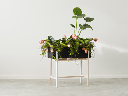 Botanic Stand by Design House Stockholm