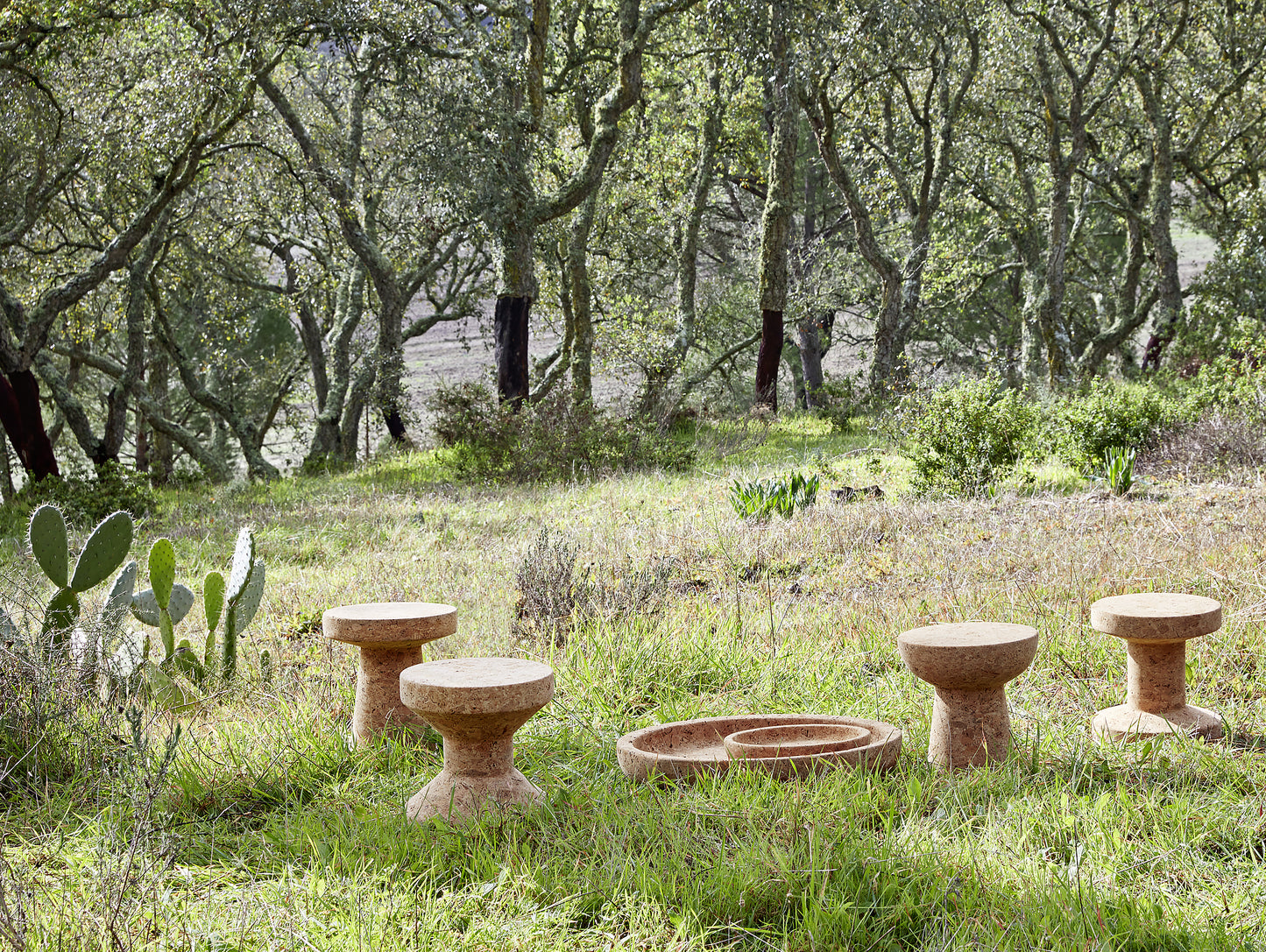 Cork Bowl by Vitra