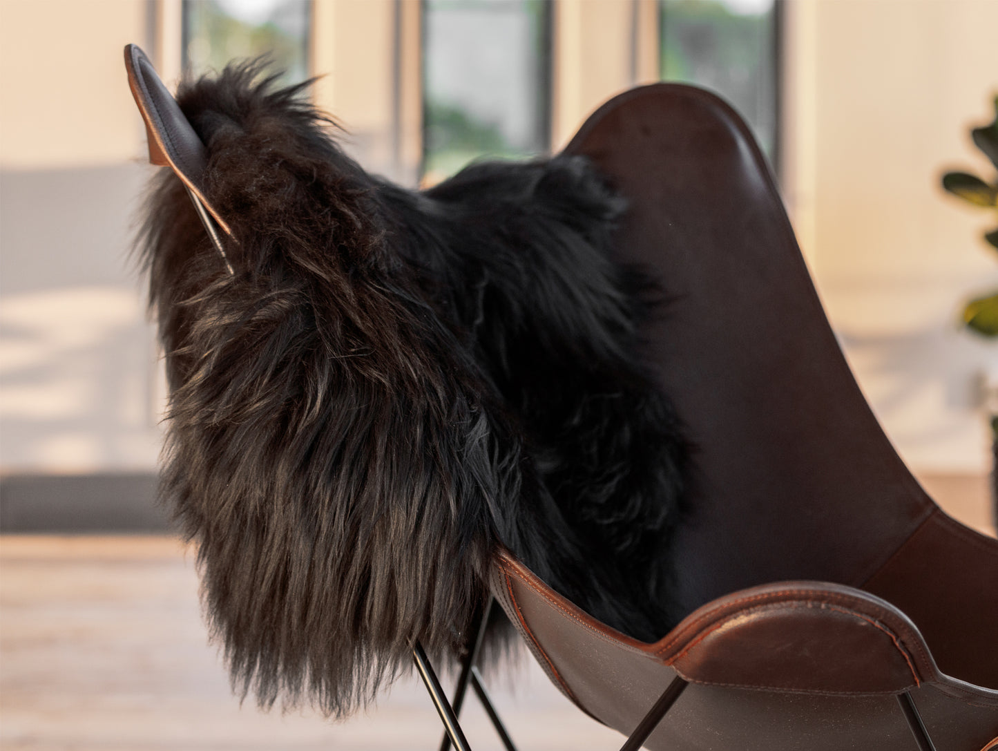 Cuero Long-haired Sheepskin - Black