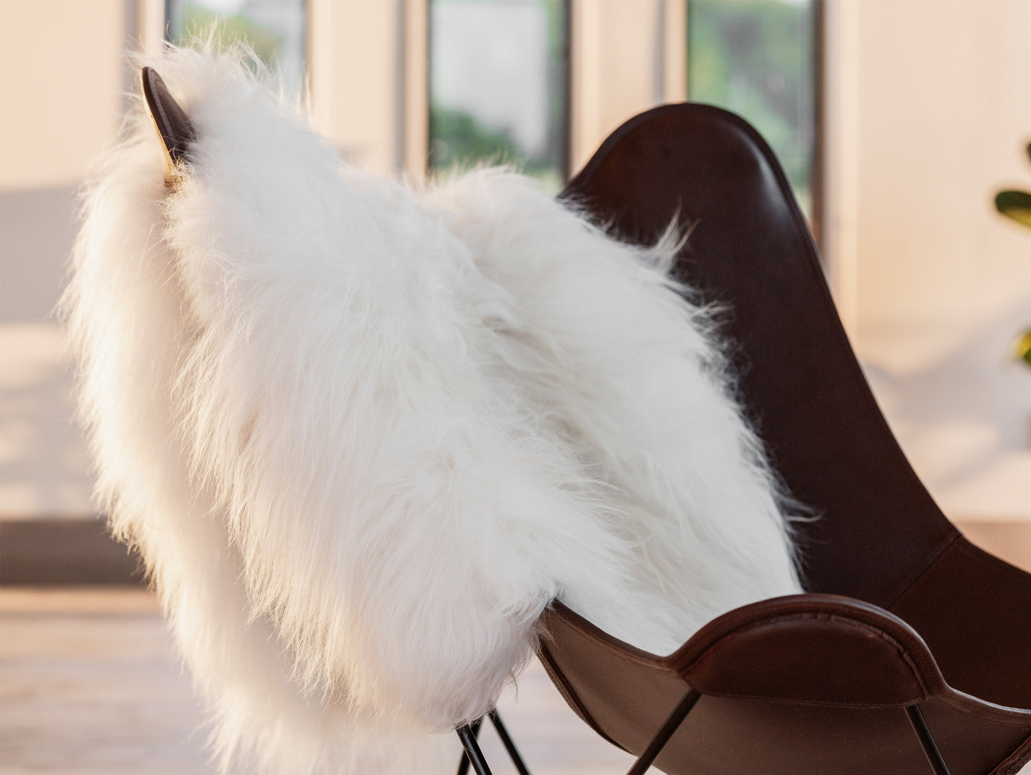 Cuero Long-haired Sheepskin - White