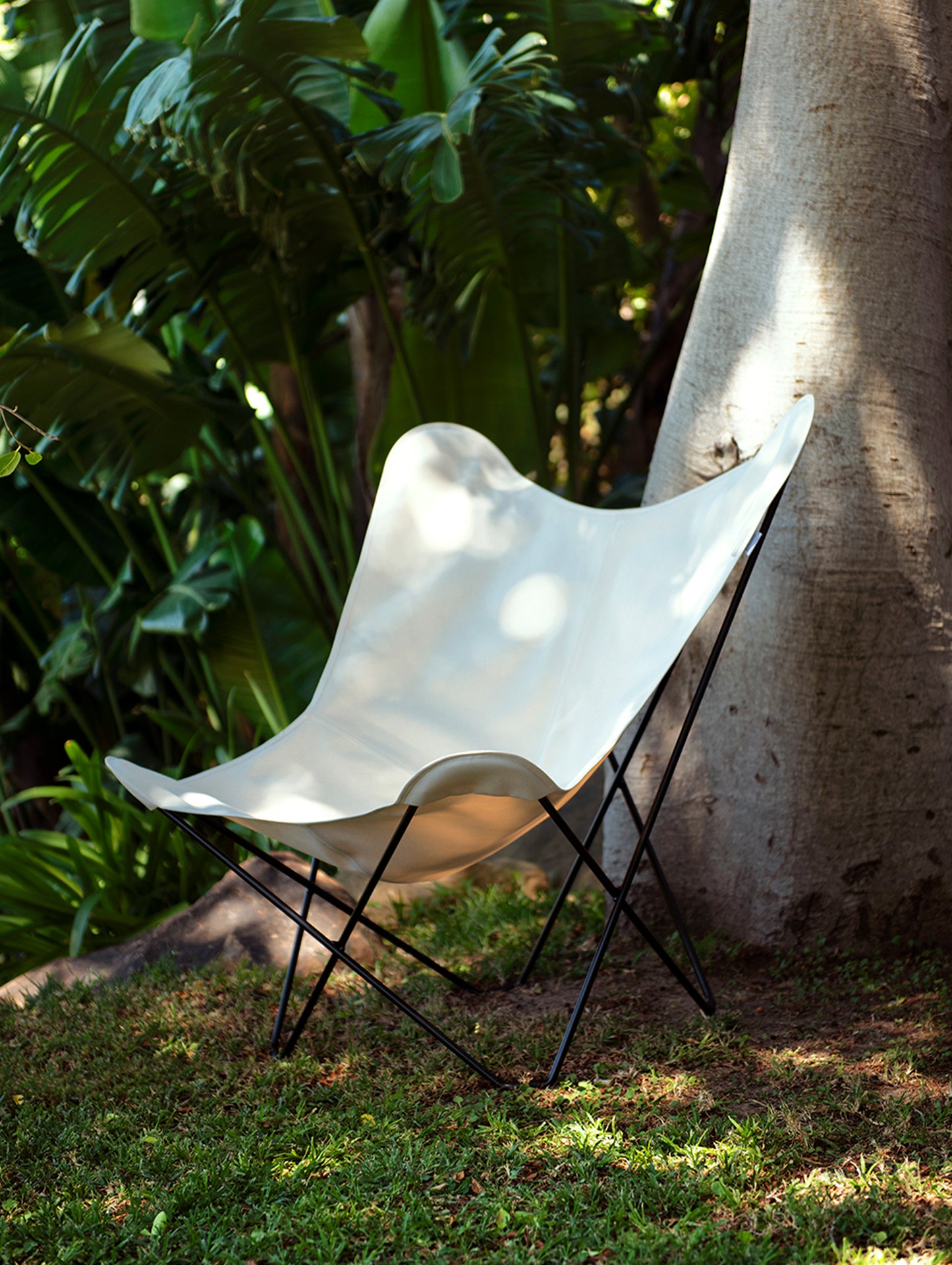 Sunshine Mariposa Butterfly Chair by Cuero - Zinc Coated Black Steel Frame / Natural Cover