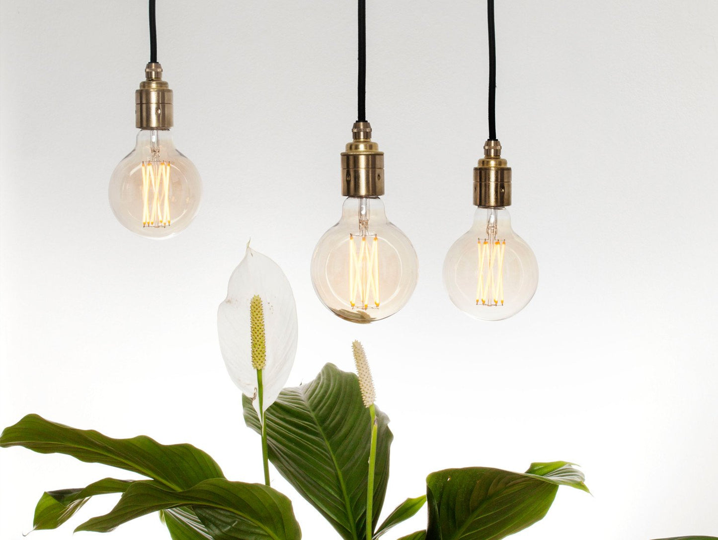 Elva 6 Watt LED bulb by Tala