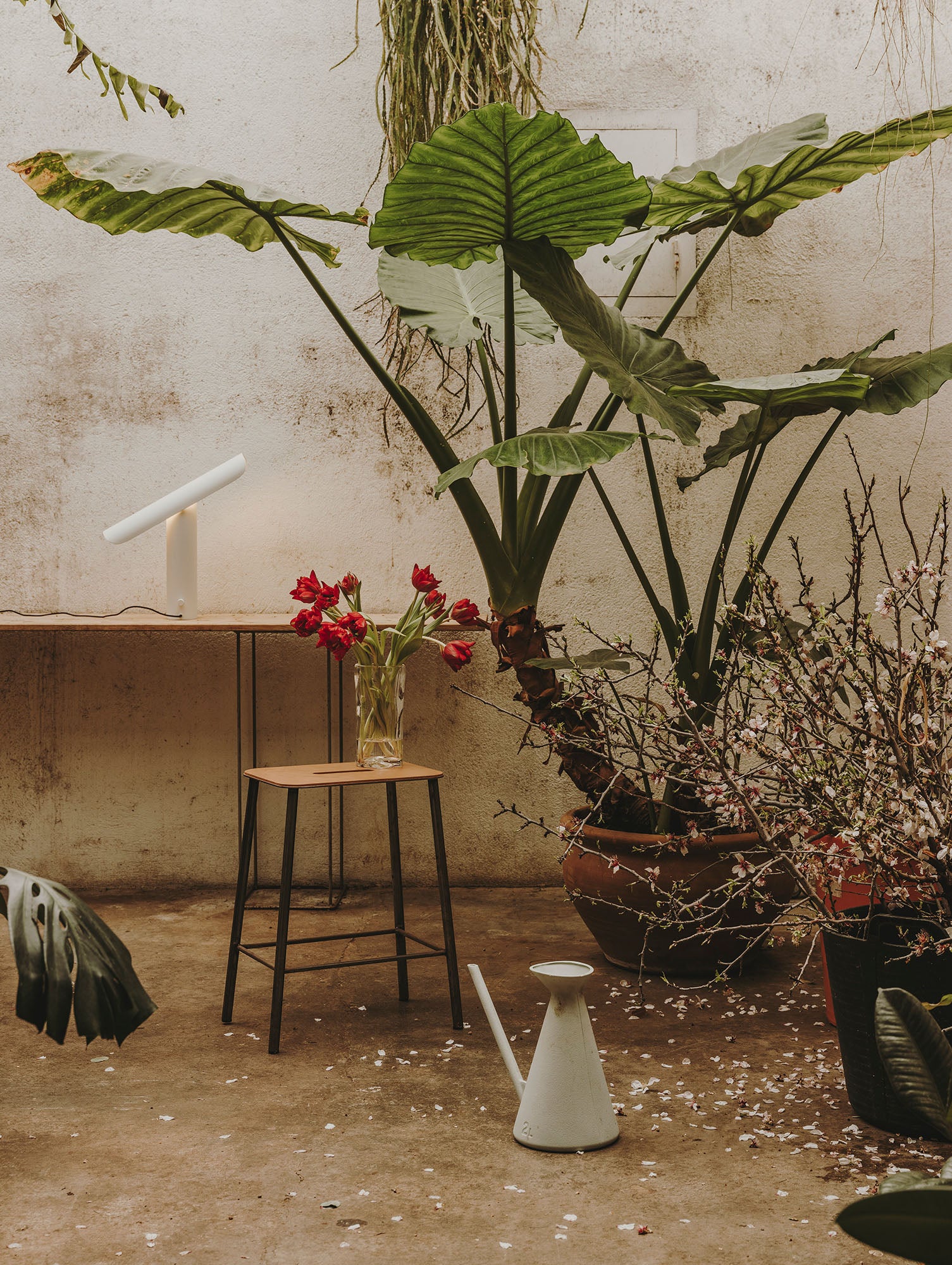 Adam Stool Leather by Frama