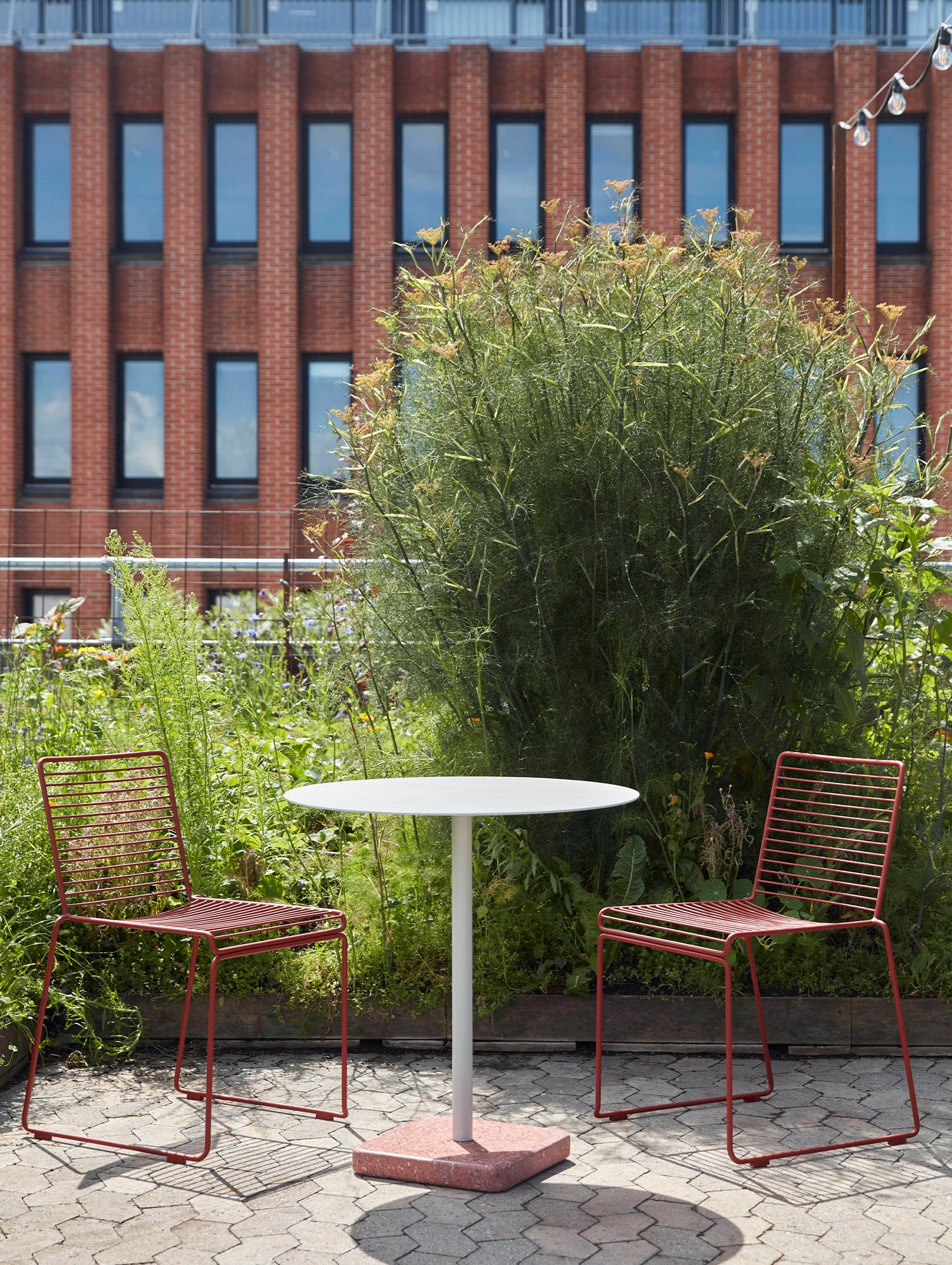 Hee Dining Chairs - Rust