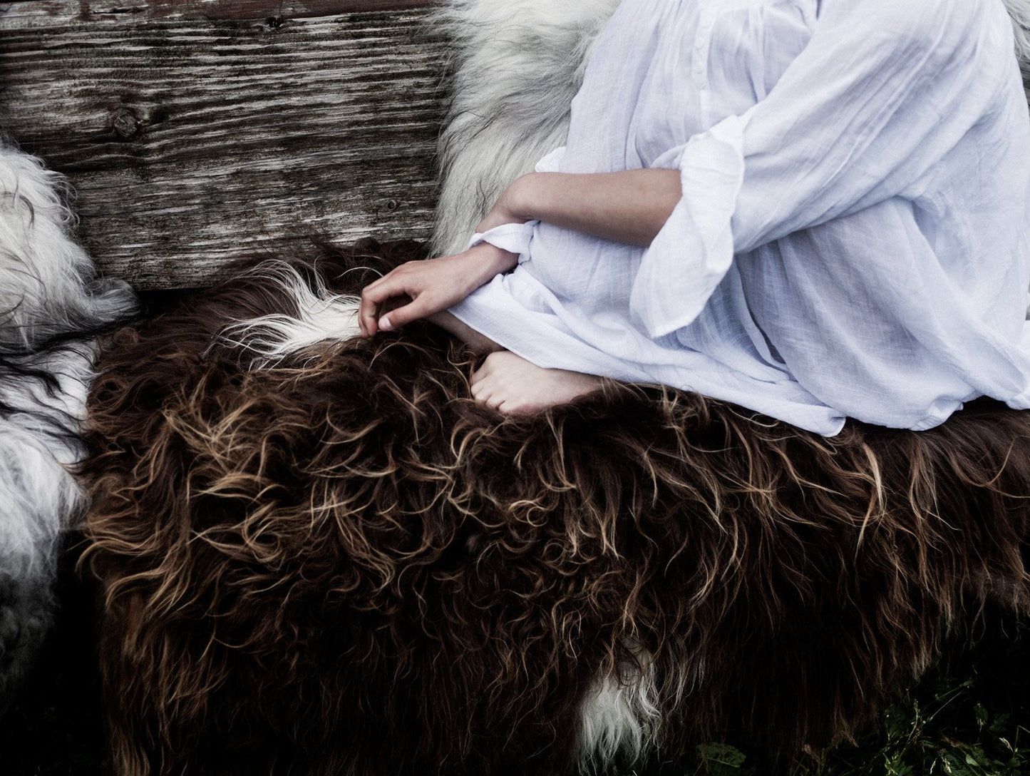 Cuero Long-haired Sheepskin - Brown