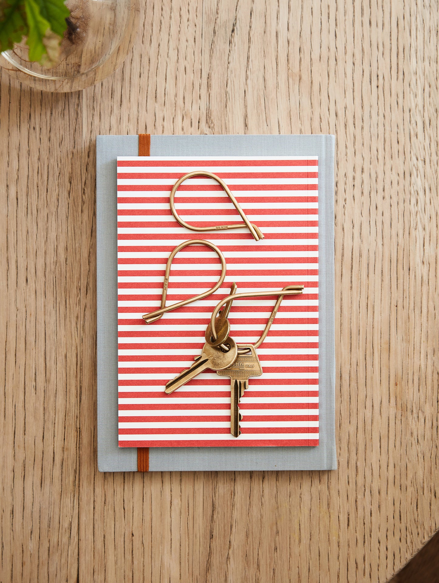 Key Ring by Moebe