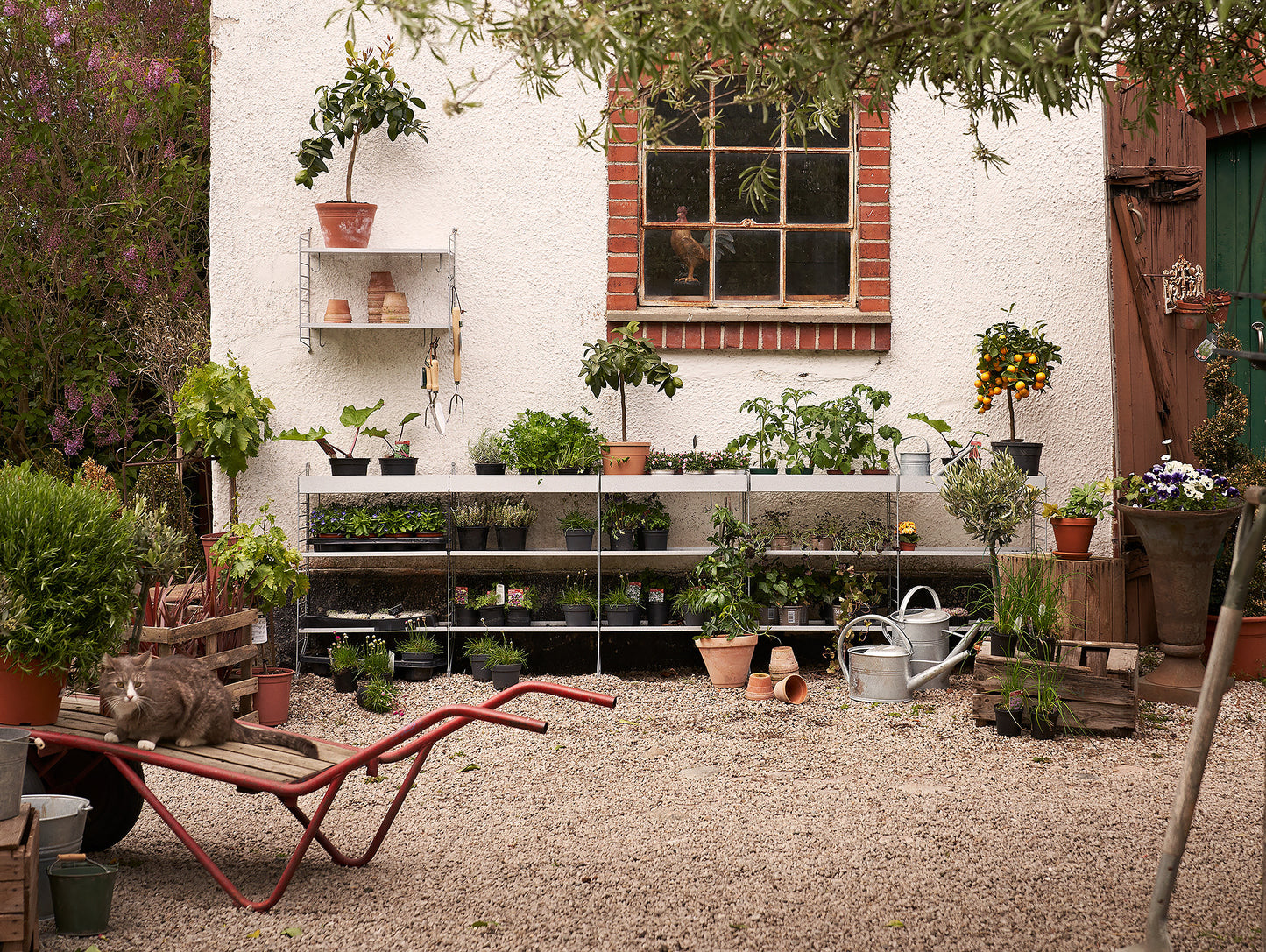 String Galvanised Outdoor Shelving - Garden Scene