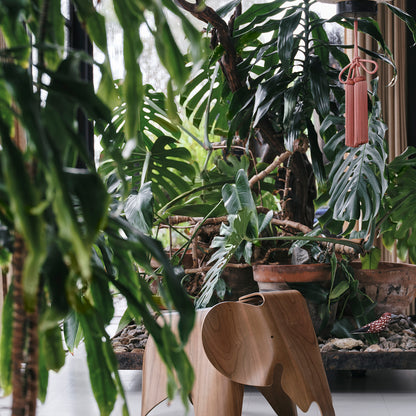 Eames Elephant by Vitra - Walnut