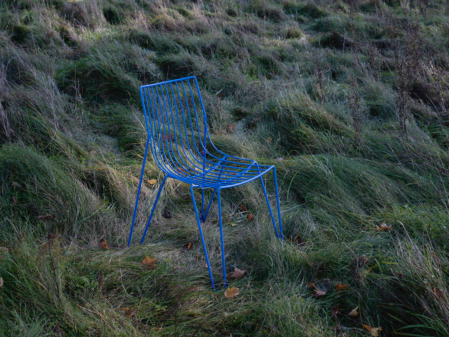 Tio Dining Chair by Massproductions - Overseas Blue