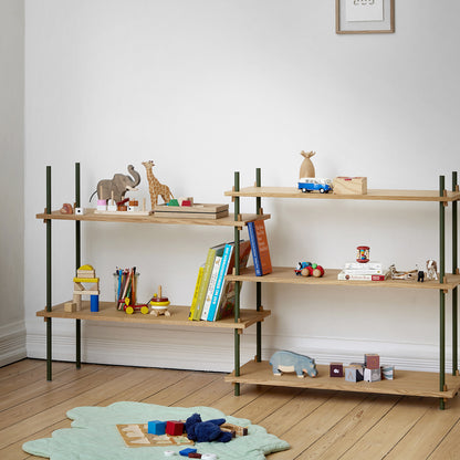 Moebe Shelving System - S.85.2.A Set in Pine Green / Oak