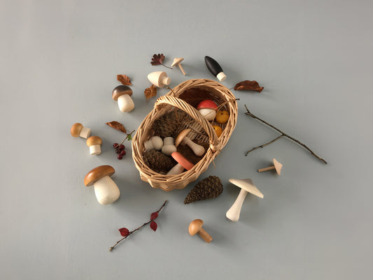 Forest Mushrooms Basket by Moon Picnic