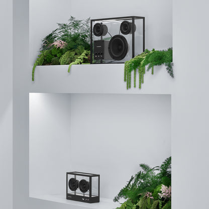 Large Transparent Speaker by Transparent - Black