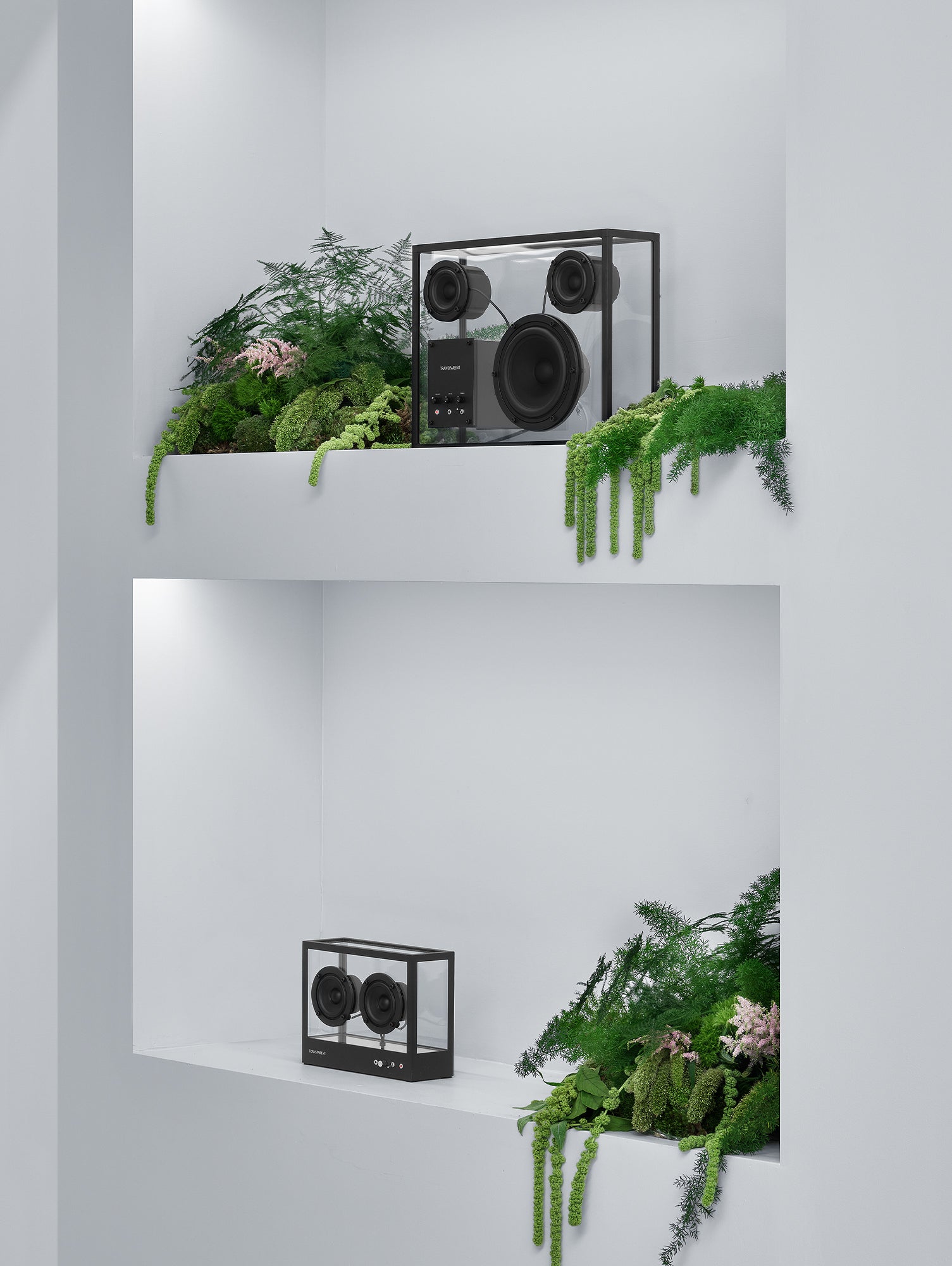 Large Transparent Speaker by Transparent - Black