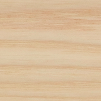 Swatch for Ash Top