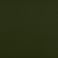 Swatch for Autumn Green Steel