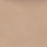 Swatch for Beige Refine Leather