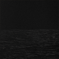 Swatch for Black Layout / Black Oak