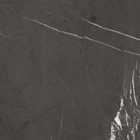 Swatch for Black Marble (Honed)
