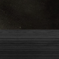 Swatch for Black Oak / Aida Black Leather