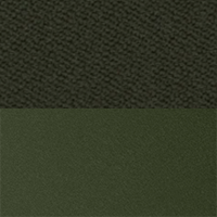 Swatch for Bottle Green Layout / Vidar 4 972