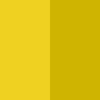 Swatch for Buttercup (Two-Tone)