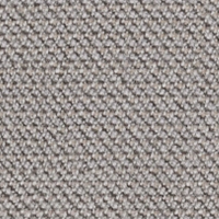 Swatch for Capture Light Warm Grey 4101